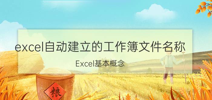 excel自动建立的工作簿文件名称 Excel基本概念？